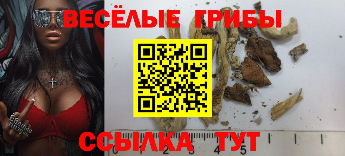 Троицк  Псилоцибиновые грибы прущие грибы  Вход с VPN  Псилоцибиновые грибы Psilocybine cubensis 