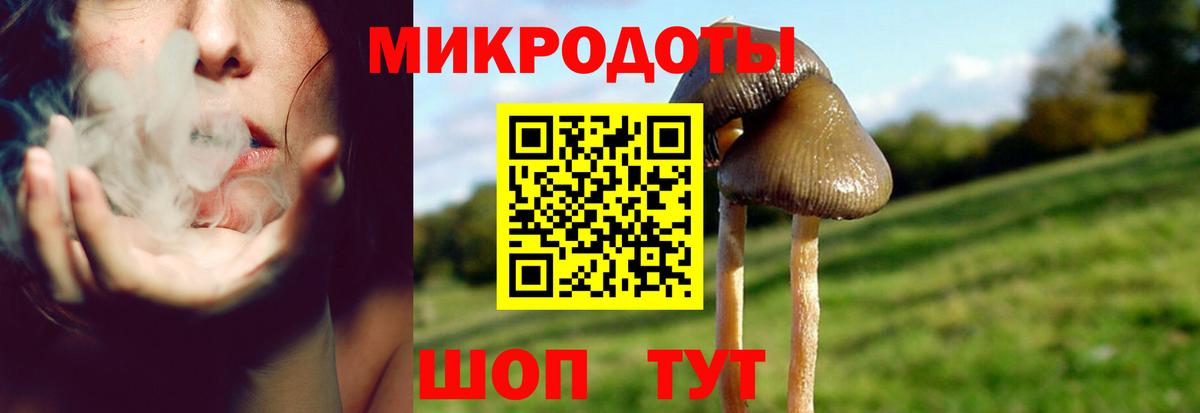 Псилоцибиновые грибы Psilocybine cubensis Троицк